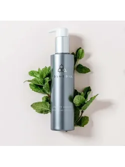 Purity Clean Exfoliating Cleanser – Отшелушивающий гель